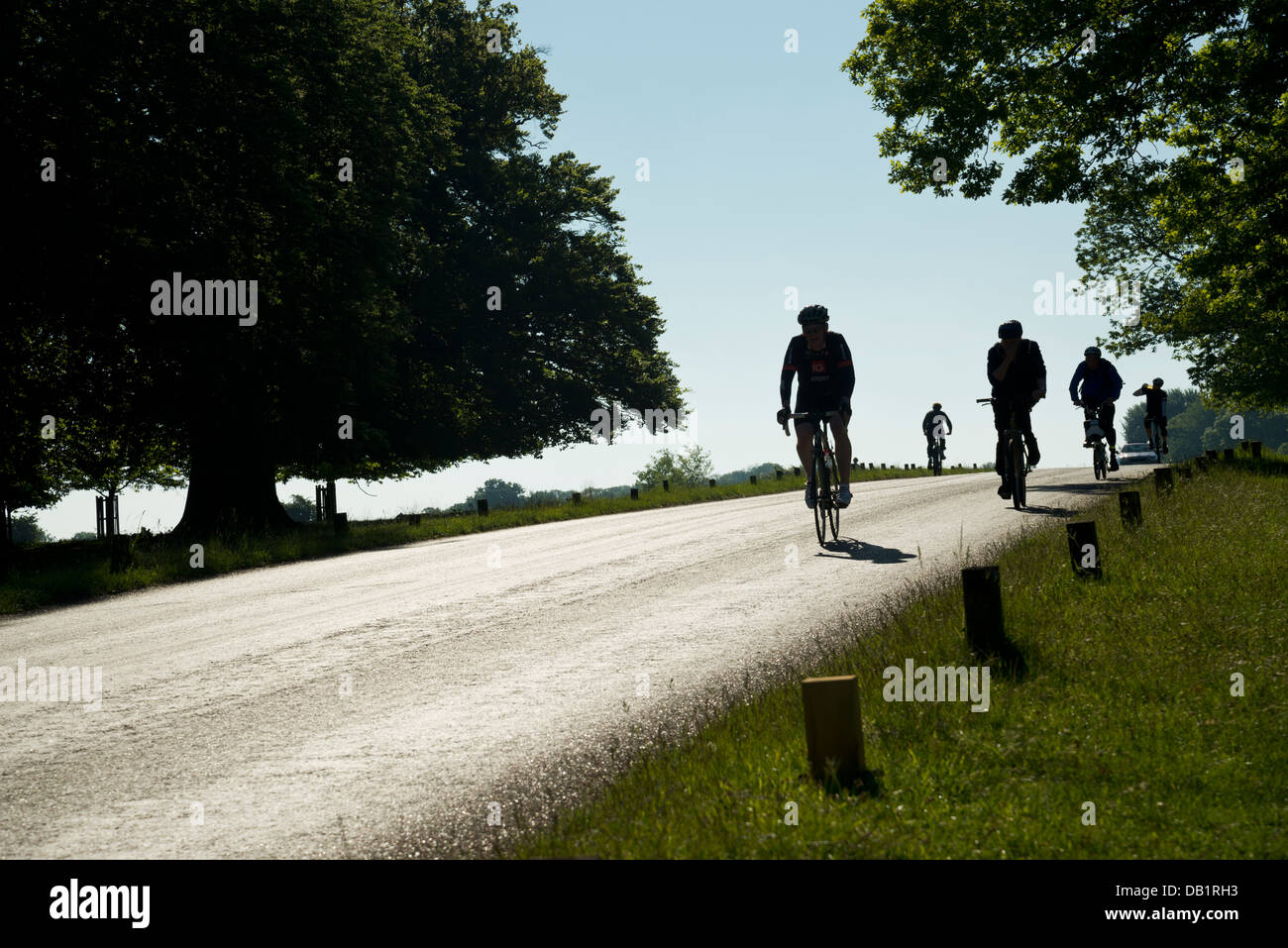 Radfahrer in Richmond Park, South West London, UK Stockfoto