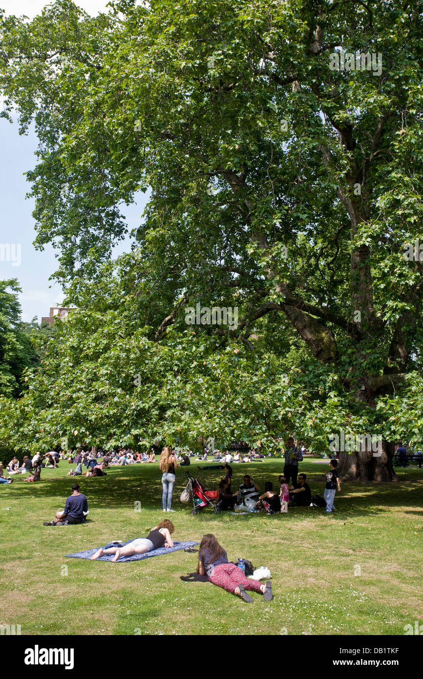 Platane und Menschen entspannen. Brunswick Square, Bloomsbury, Camden, London, England Stockfoto