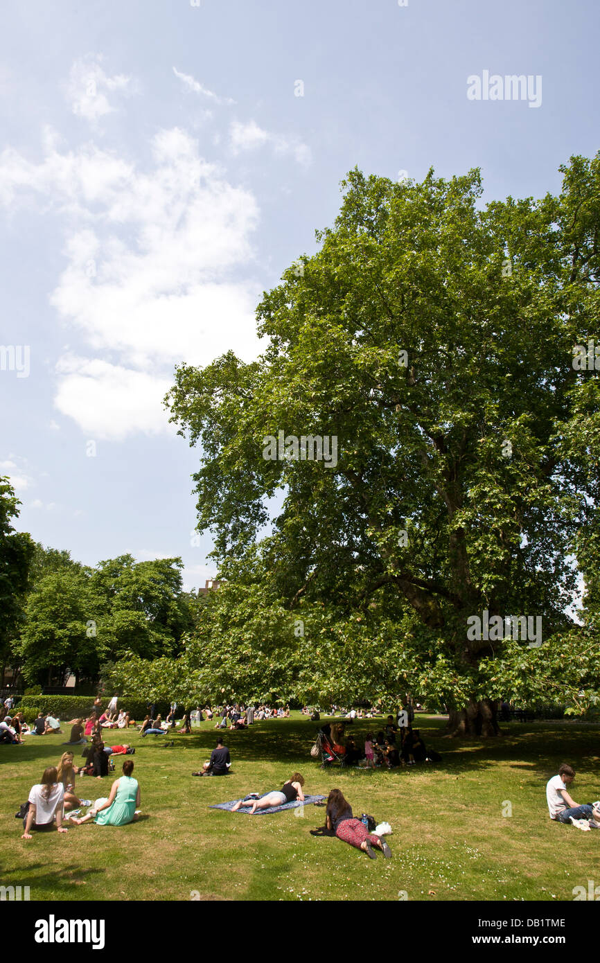 Platane und Menschen entspannen. Brunswick Square, Bloomsbury, Camden, London, England Stockfoto