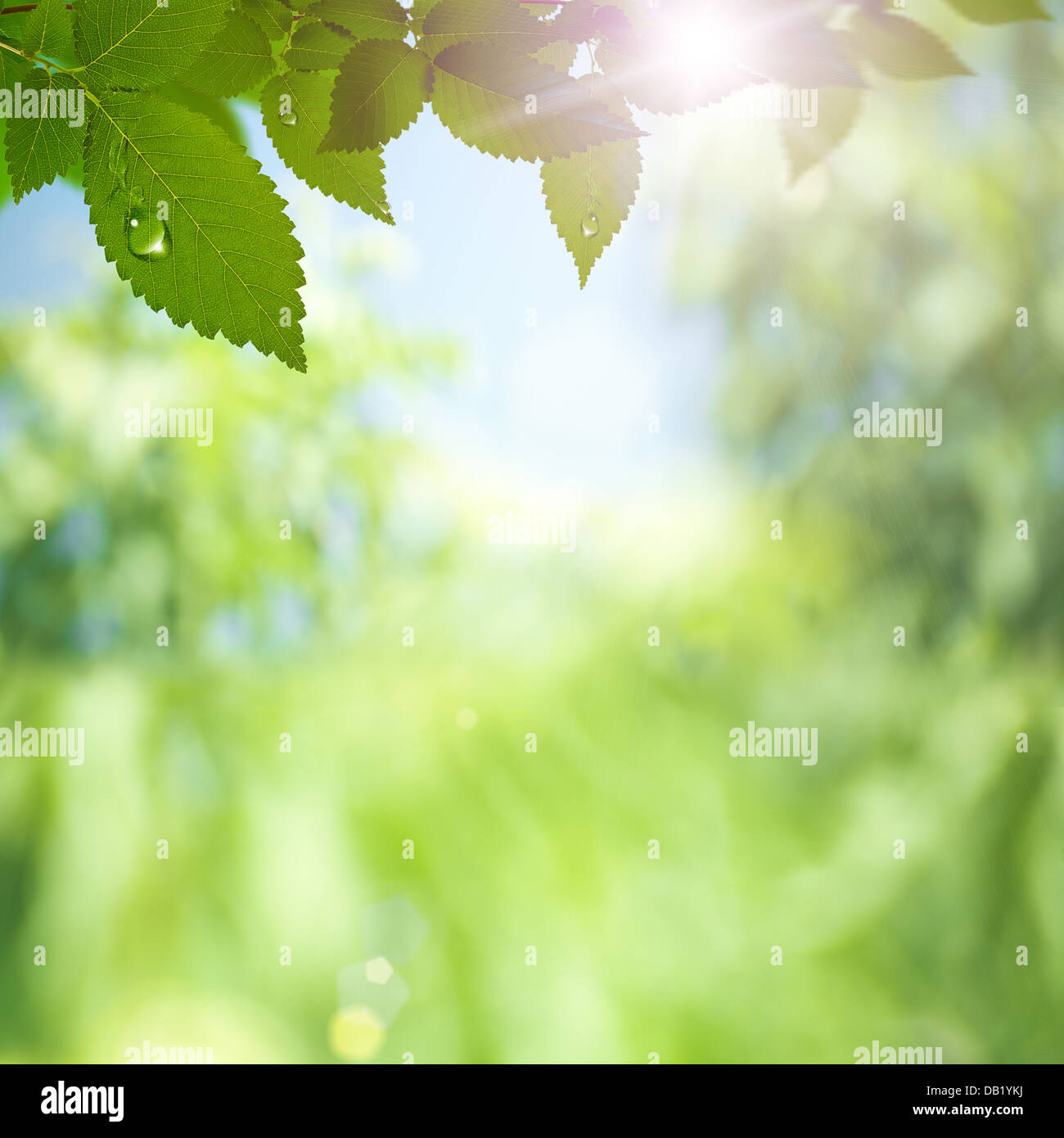 Ökologische abstrakt mit Sonnenstrahlen und Schönheit bokeh Stockfoto