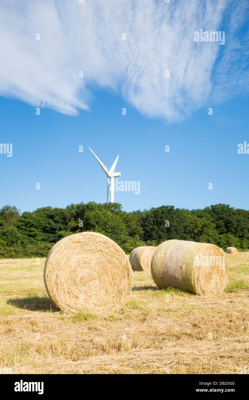 Runde Heu Bails im Feld in County Durham, England, UK Stockfoto