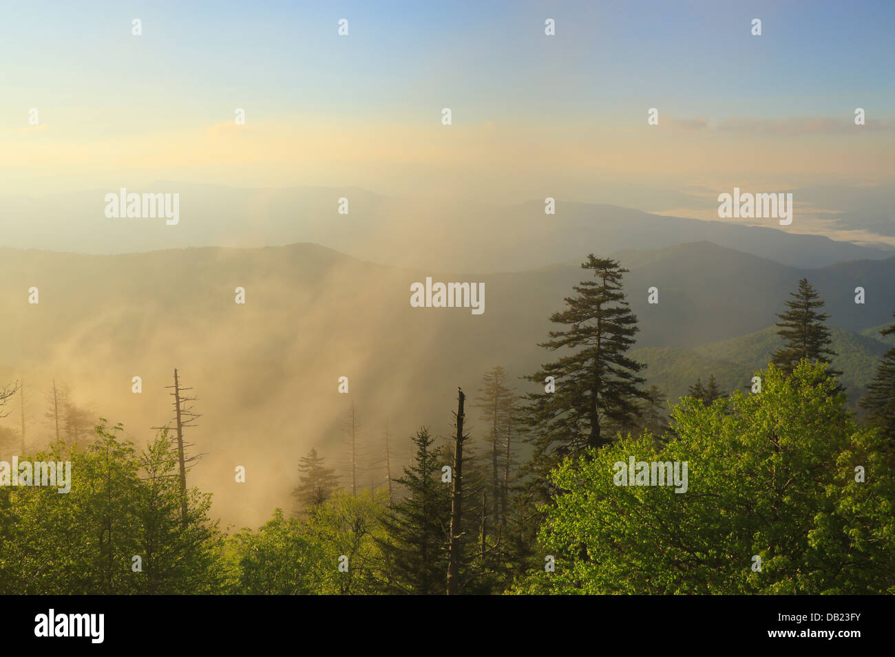 Sonnenaufgang, Clingmans Dome, große Smoky Mountains National Park, North Carolina, Tennessee, USA Stockfoto