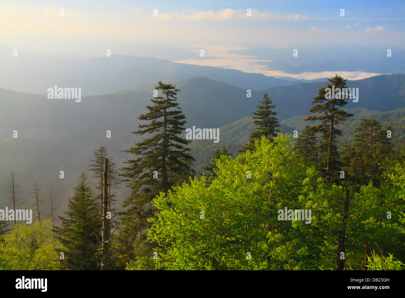 Sonnenaufgang, Clingmans Dome, große Smoky Mountains National Park, North Carolina, Tennessee, USA Stockfoto