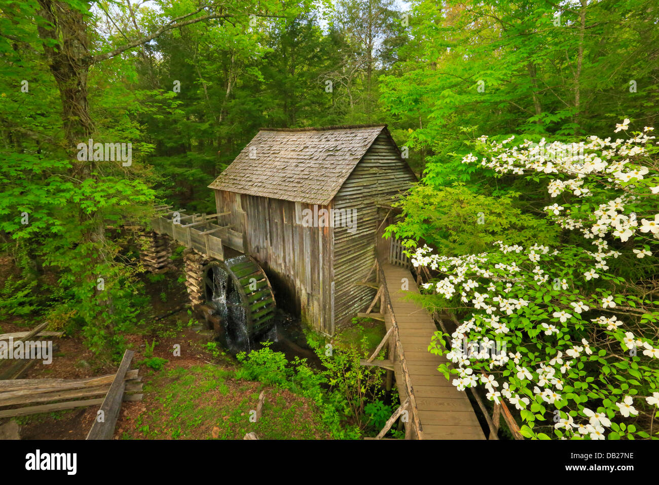 John P Kabel Grist Mill, Cades Cove, große Smoky Mountains National Park, Tennessee, USA Stockfoto