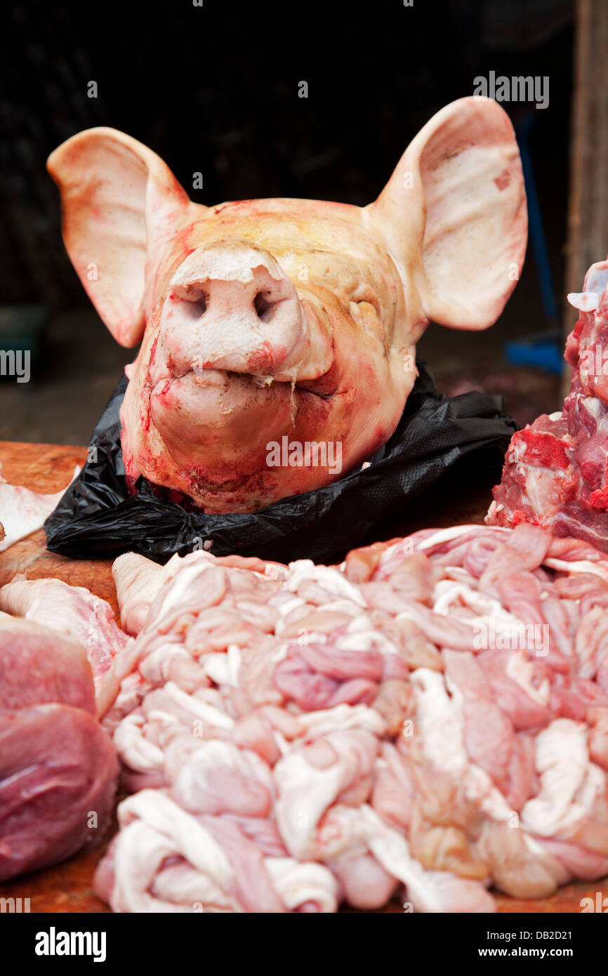 Geschlachteter schweinekopf -Fotos und -Bildmaterial in hoher Auflösung –  Alamy