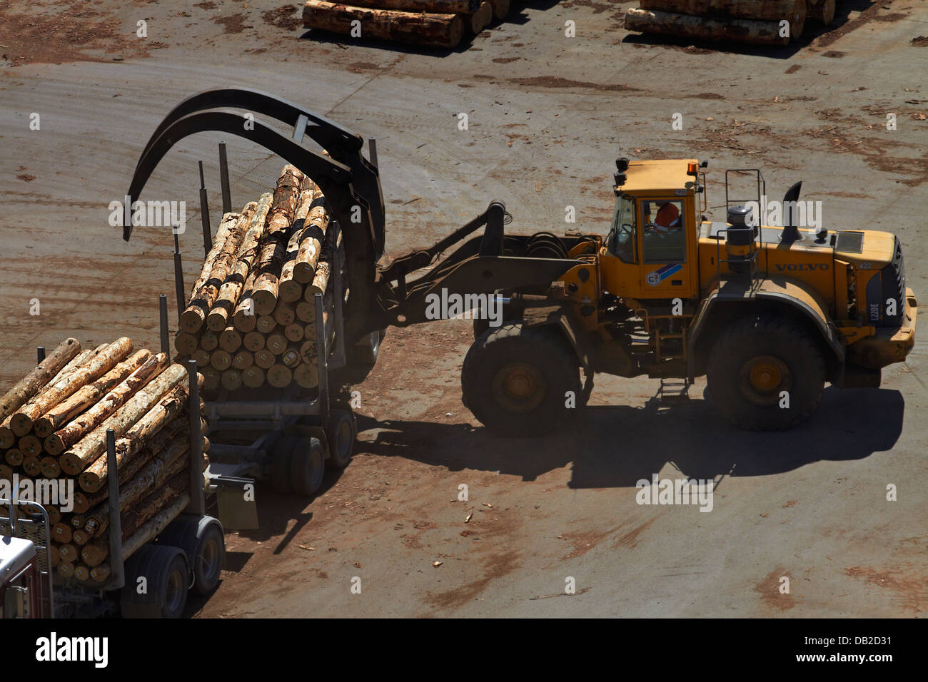 Melden Sie sich entladen Holztransporter Lader bei Port Chalmers, Dunedin, Otago, Südinsel, Neuseeland Stockfoto