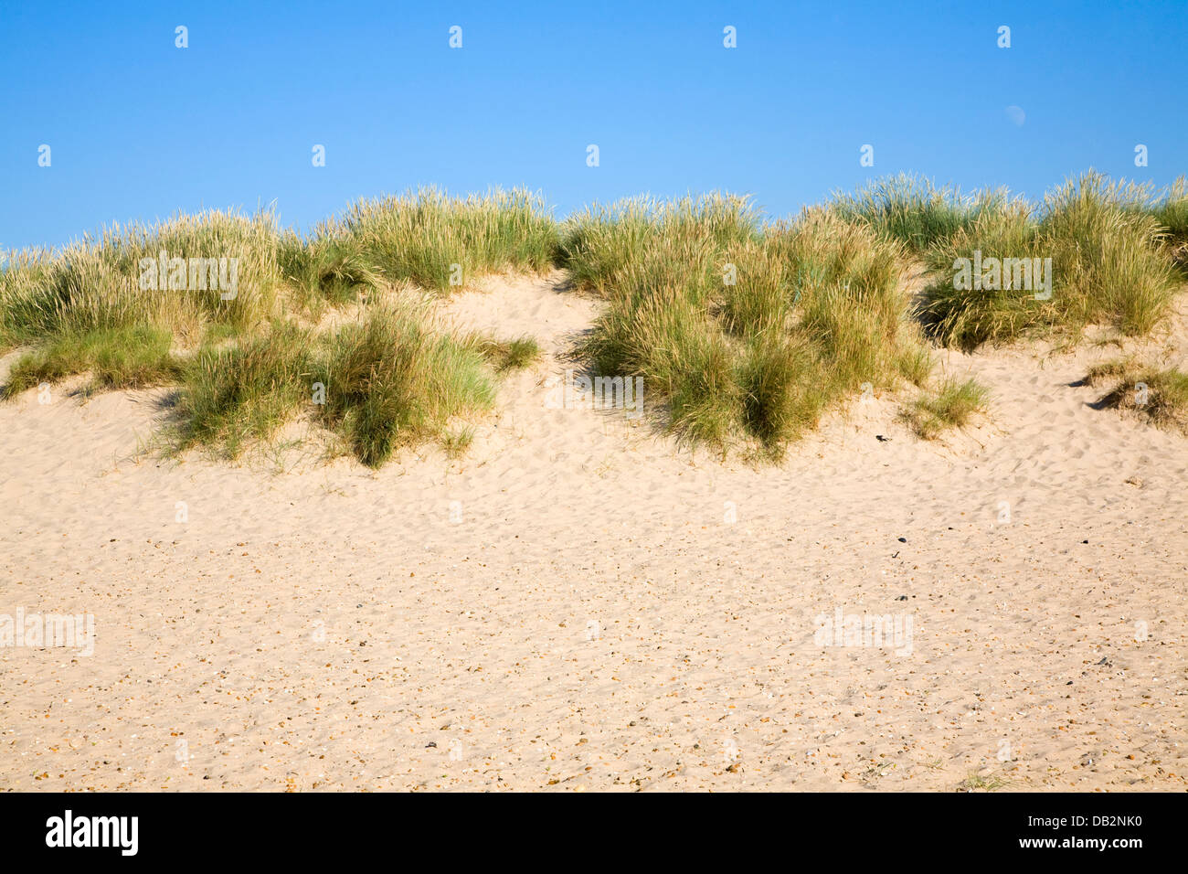 Dünengebieten Grass Sanddünen Holkham Norfolk England Stockfoto