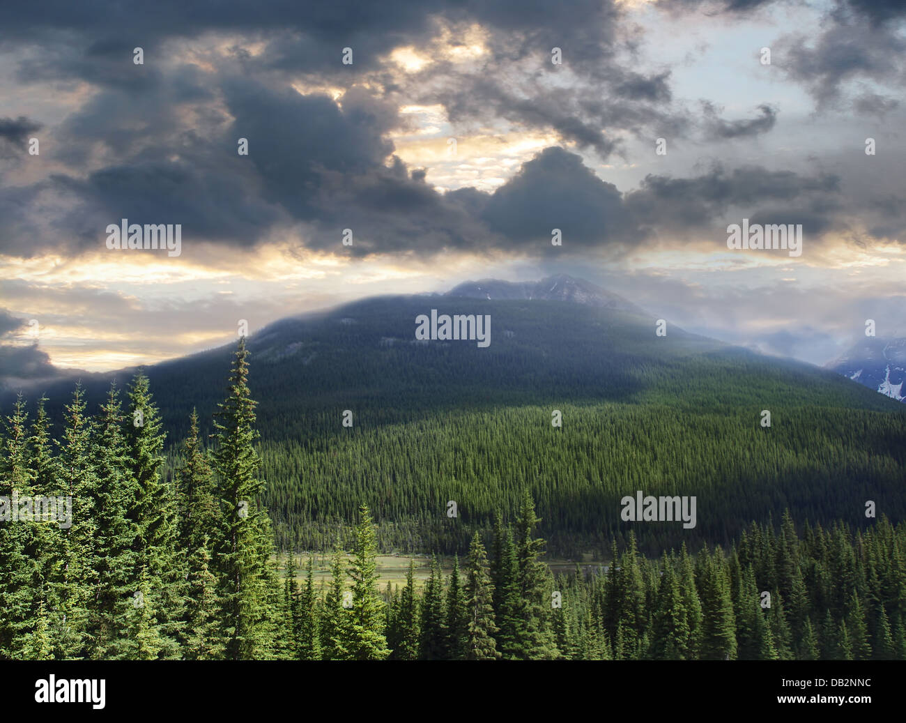 Schöne Aussicht auf die Rocky Mountains in Alberta Stockfoto