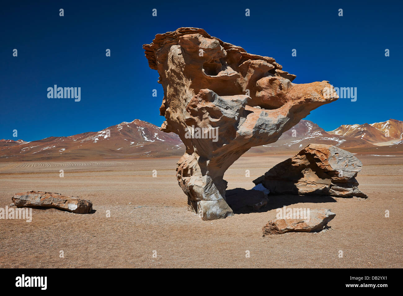 berühmte Arbol de Piedra Rock wie Stein Baum, Reserva Nacional de Fauna Andina Eduardo Abaroa, Bolivien, Südamerika Stockfoto