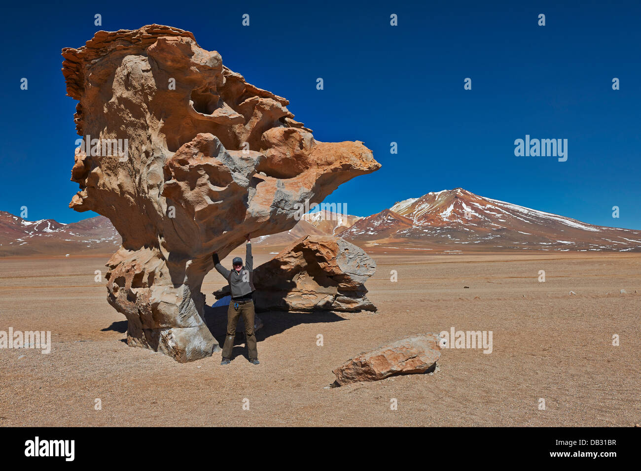 berühmte Arbol de Piedra Rock wie Stein Baum, Reserva Nacional de Fauna Andina Eduardo Abaroa, Bolivien, Südamerika Stockfoto