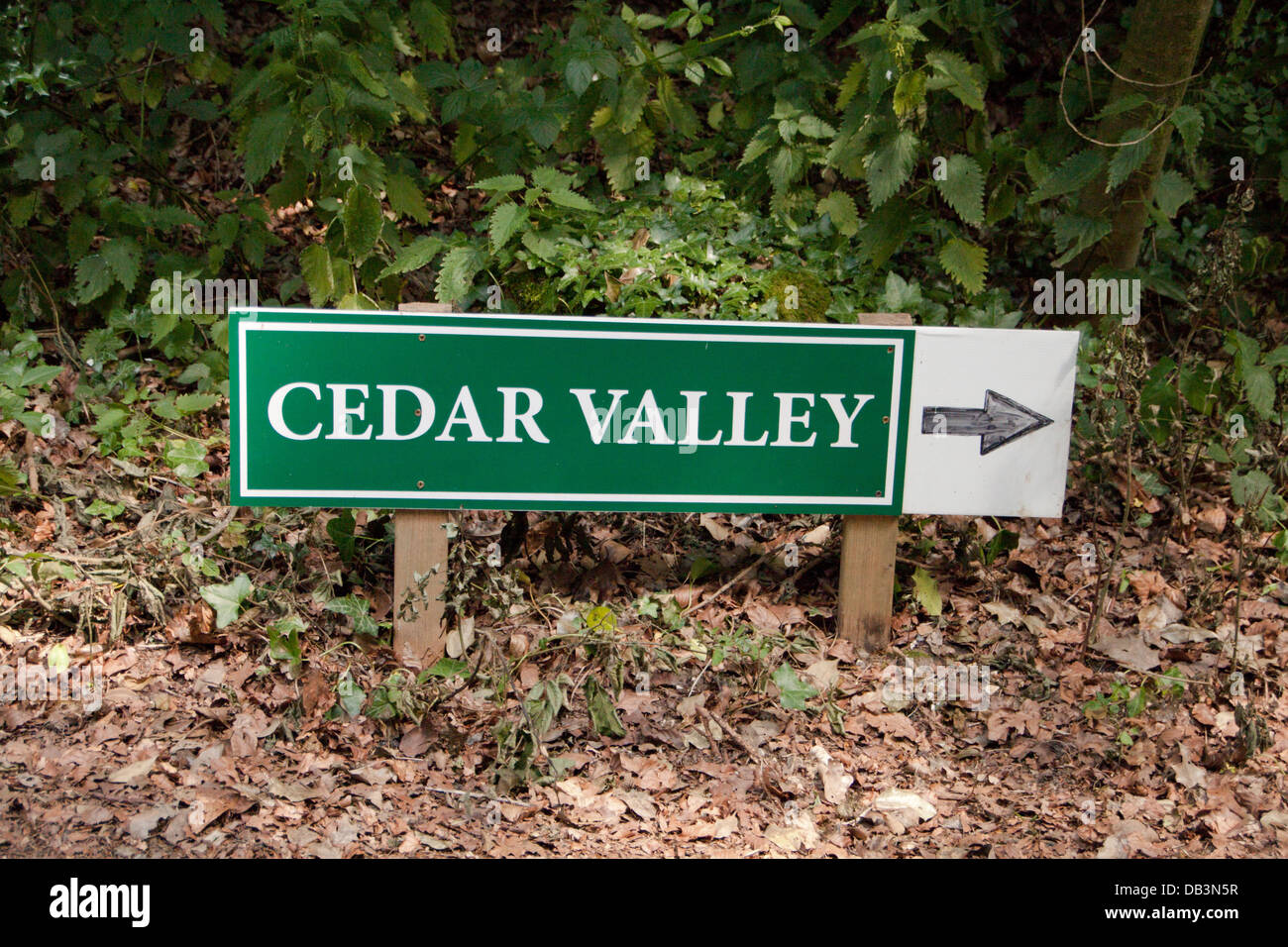 Glamping - In Englisch "Posh Camping..." im Bereleigh Estate, East Meon, Cedar Valley. Stockfoto