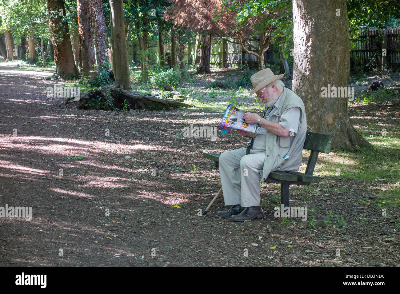 Älterer Mann Lesung am Wald Sitzbank Stockfoto