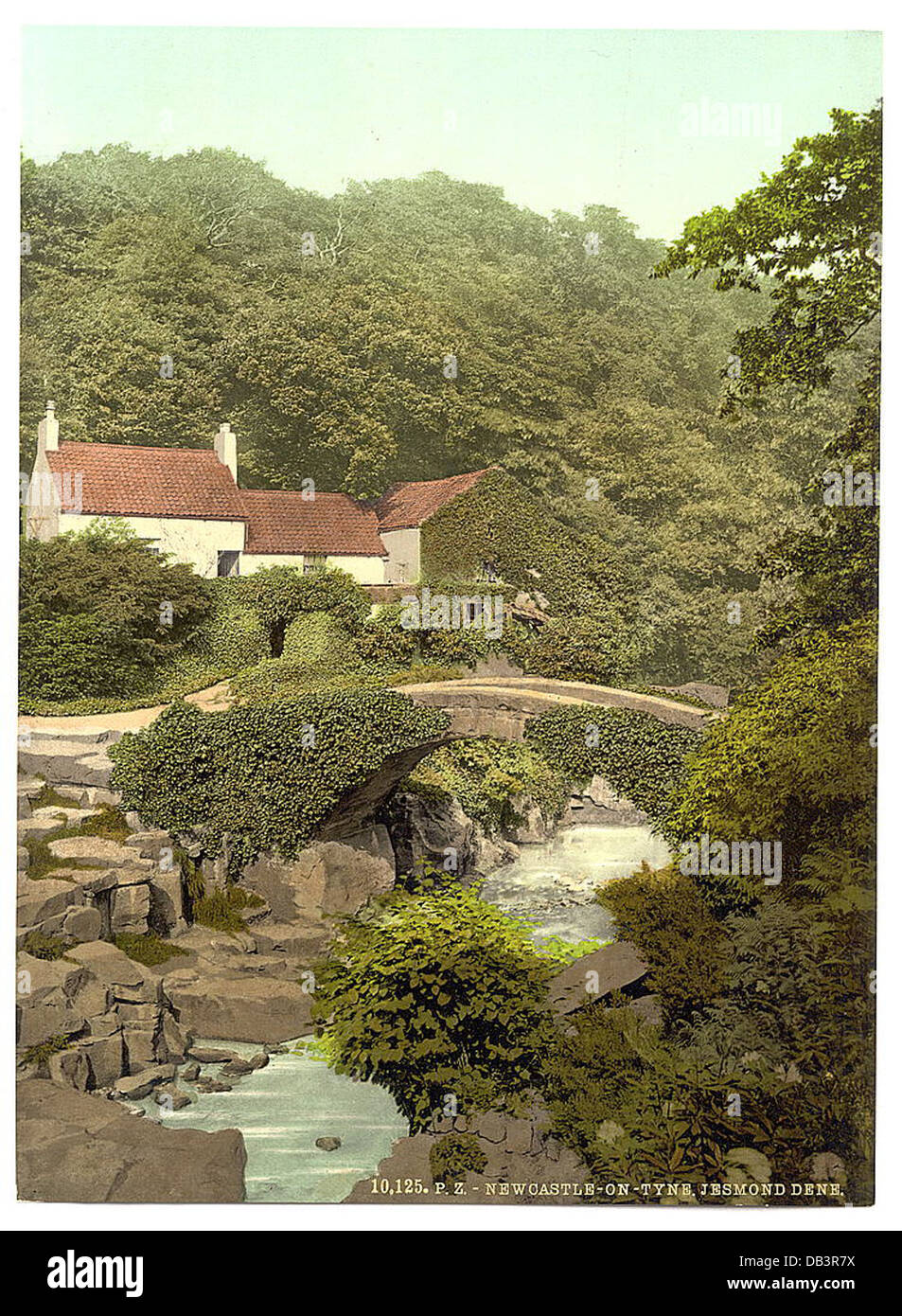 [Jesmond Dene, alte Mühle, Newcastle am Tyne, England] (LOC) Stockfoto