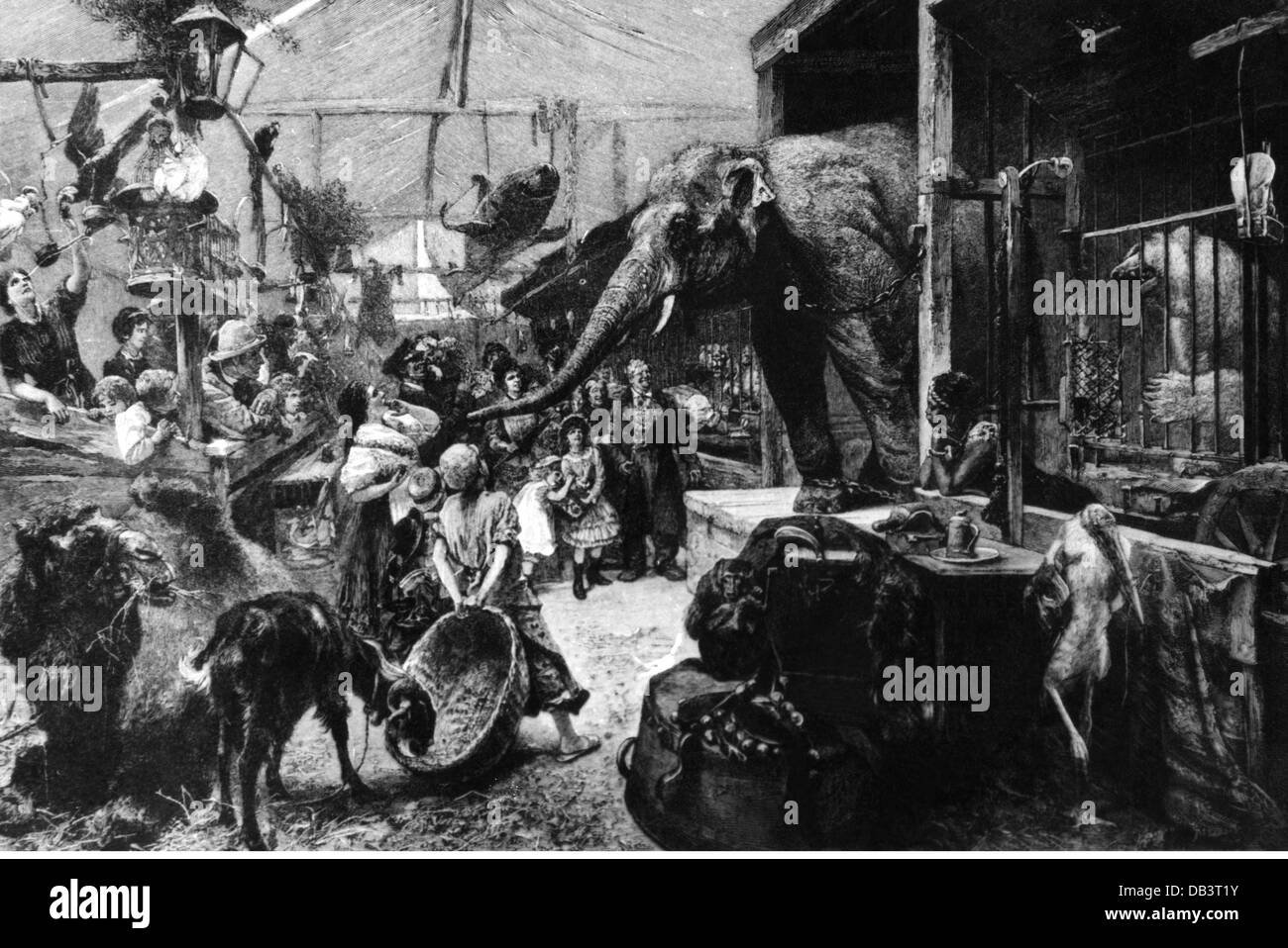 Festlichkeiten, Volksfeste, Tierschau, Malerei, von Paul Friedrich Meyerheim (1842 - 1915), um 1885, Zusatzrechte-Clearenzen-nicht vorhanden Stockfoto