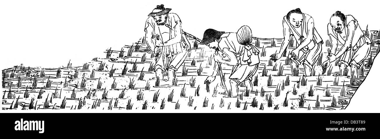 Landwirtschaft, Reisanbau, Jäten des Reisfeldes, Holzstich nach japanischer Illustration, 19. Jahrhundert, Japan, Japaner, Menschen, Männer, Mann, Bauern, Reisbauer, Arbeit, Arbeit, Arbeit, Jäten, Unkraut, Unkraut, Reis, Asien, Lebensmittel, Landwirtschaft, Landwirtschaft, Reisfeld, Reisfelder, Reisfelder, Reisfelder, historisch, historisch, zusätzliche-Rechte-Clearences-nicht verfügbar Stockfoto