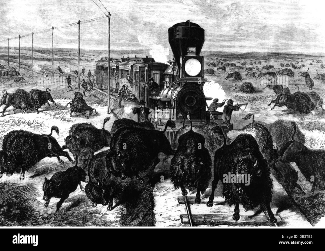 Jagd, Büffel, Passagiere der Kansas-Pacific Eisenbahn Jagd Büffel, Holzstich, vor 1872, zusätzliche-Rechte-Clearences-nicht verfügbar Stockfoto