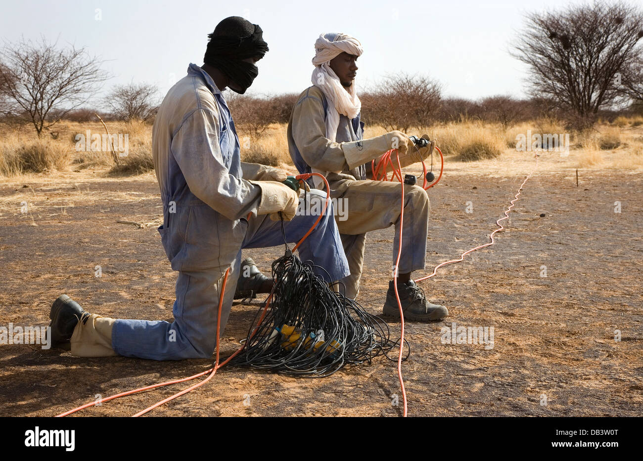 Geo physischen Umfrage bei seismischen Ölexploration. Crew telemetrischen Kabel und Sensoren vor dem Verlegen Aufnahme Linien verbinden Stockfoto