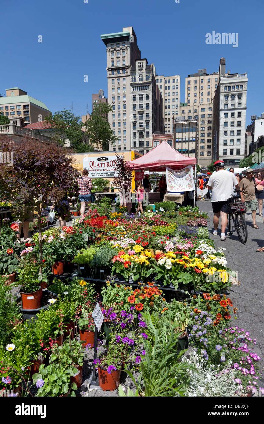 Union Square Greenmarket, New York City Stockfoto