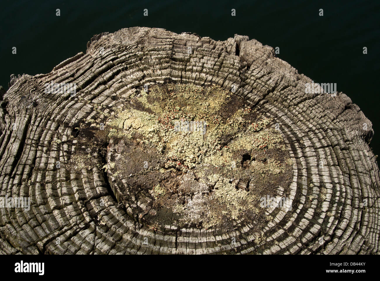 Verwitterte Polen festmachen. Stockfoto