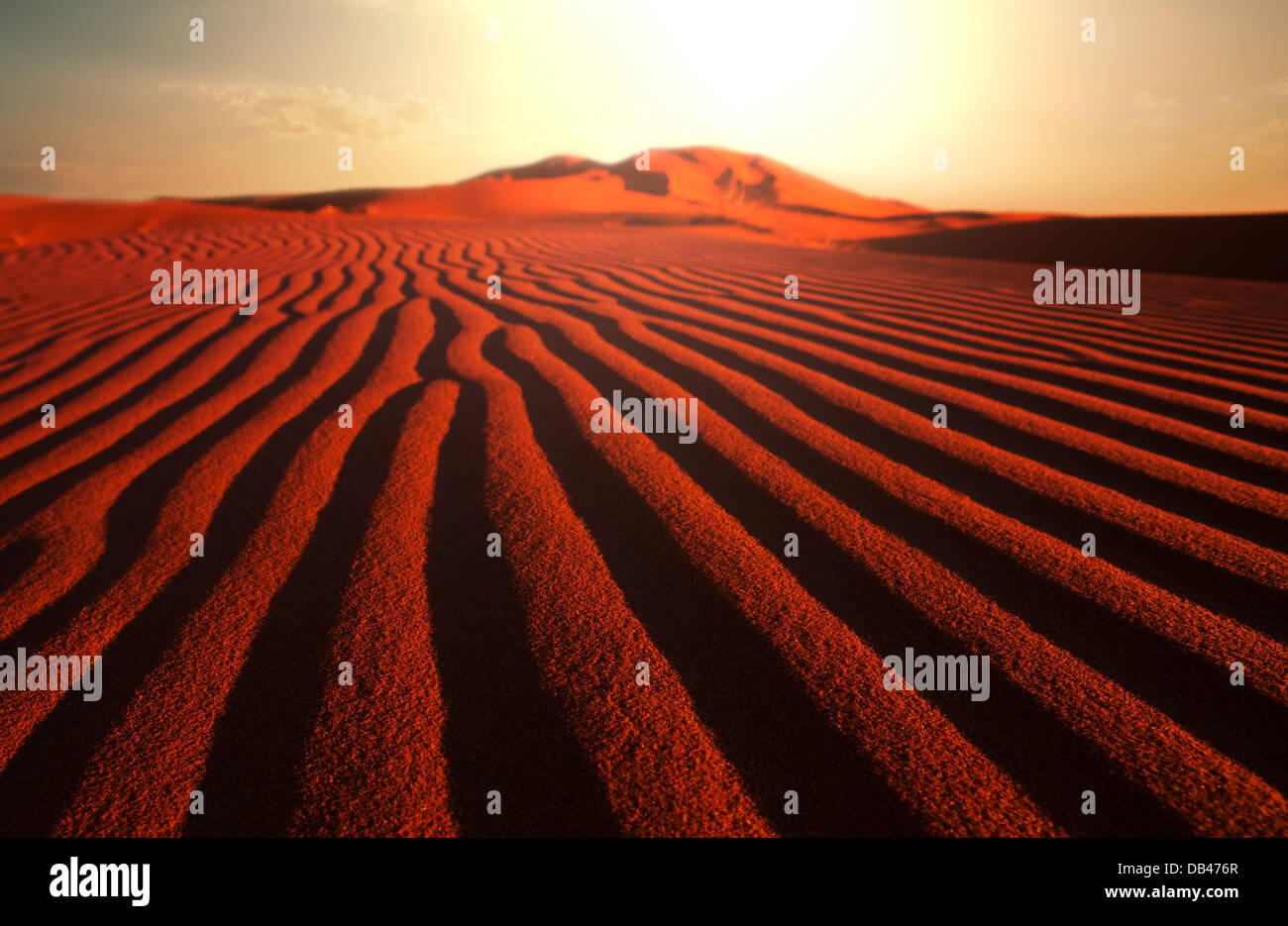 Sanddüne Stockfoto