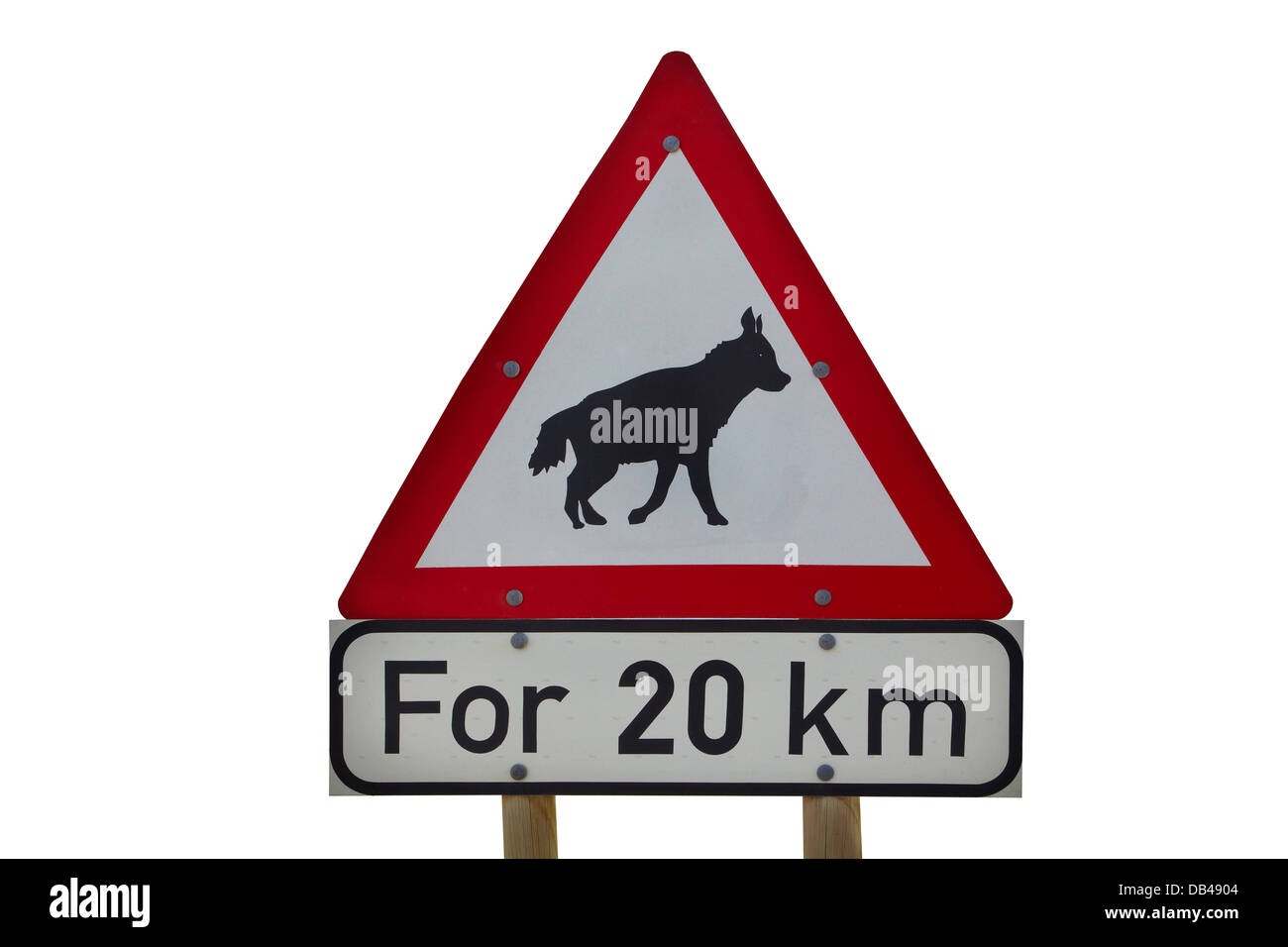 Braune Hyäne Straße Warnung, Südliches Namibia, Afrika Stockfoto