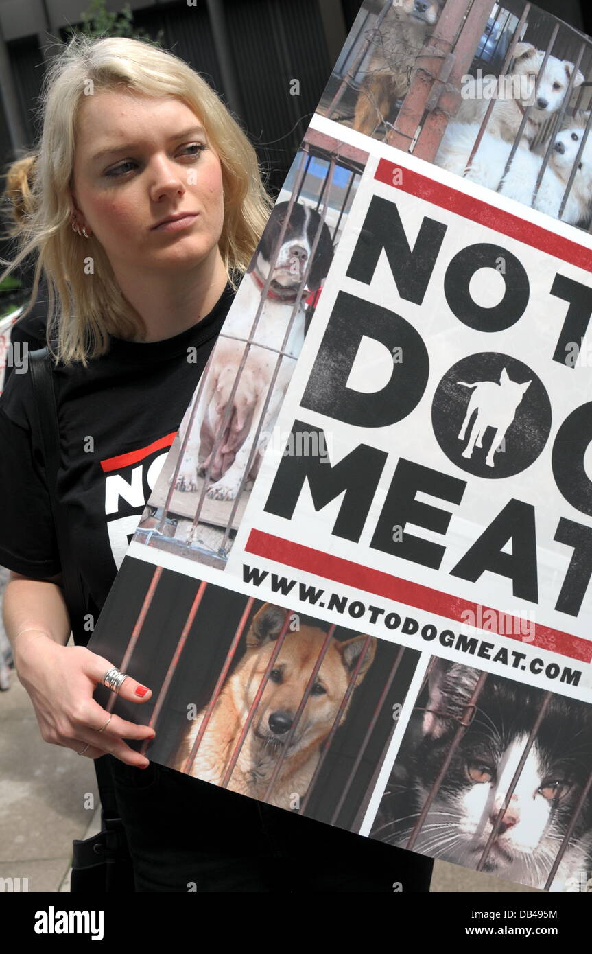 Wirkstoffe halten Plakate geschrieben "Nein zu Hundefleisch" Protest gegen die Republik Korea in den nächsten 60 Tagen für den Hund Essen Festival Bokdays außerhalb der koreanischen Botschaft in London. Stockfoto