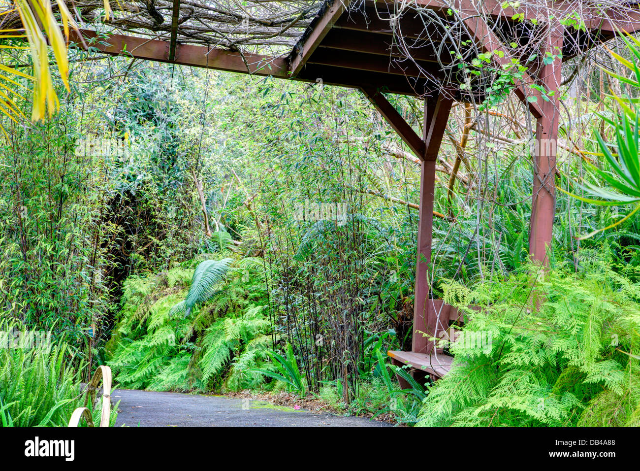 Kula Botanical Garden. Maui. Hawaii. Gedeckte Brücke. Tropische Landschaft. Stockfoto