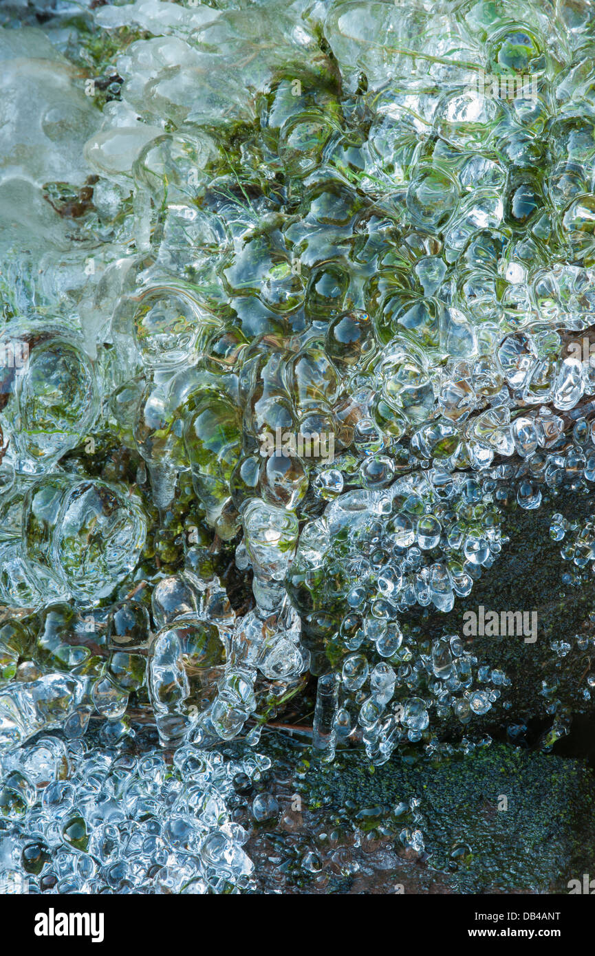 Gefrorenen Pfütze auf eisigen Stein weg in Nahaufnahme, mit schönen Mustern, Formen & Formulare - Burley Moor, in der Nähe von Ilkley, Yorkshire, England, UK. Stockfoto