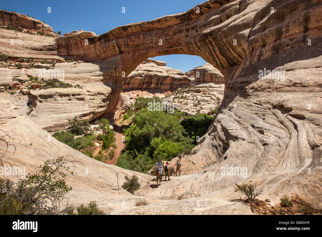 Wanderer, Wandern unter Sipapu Brücke, Bridges National Monument, Utah. Stockfoto