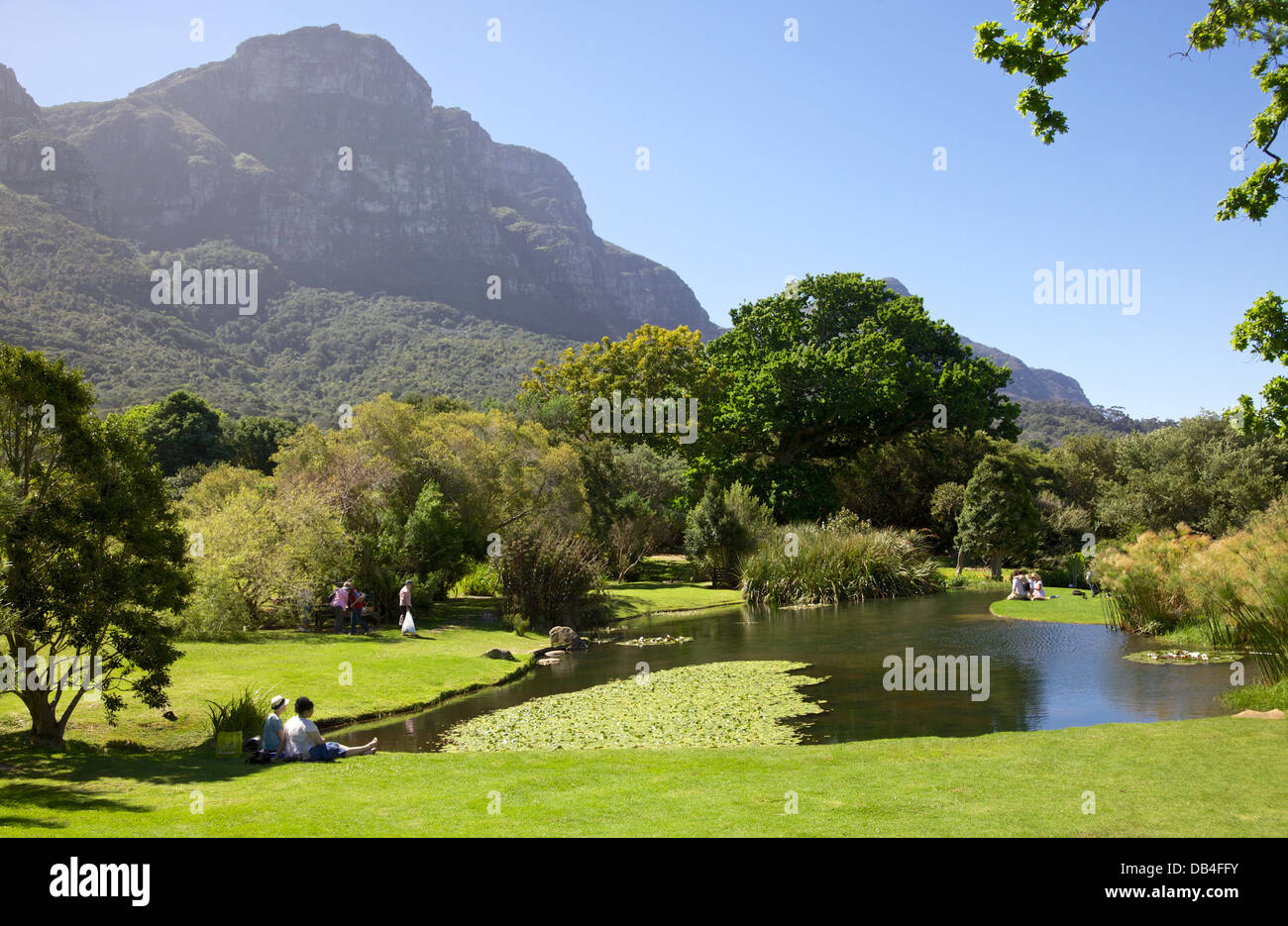 Besucher entspannend im Kirstenbosch National Botanical Garden. Kirstenbosch feierte sein hundertjähriges Bestehen im Juli 2013. Stockfoto