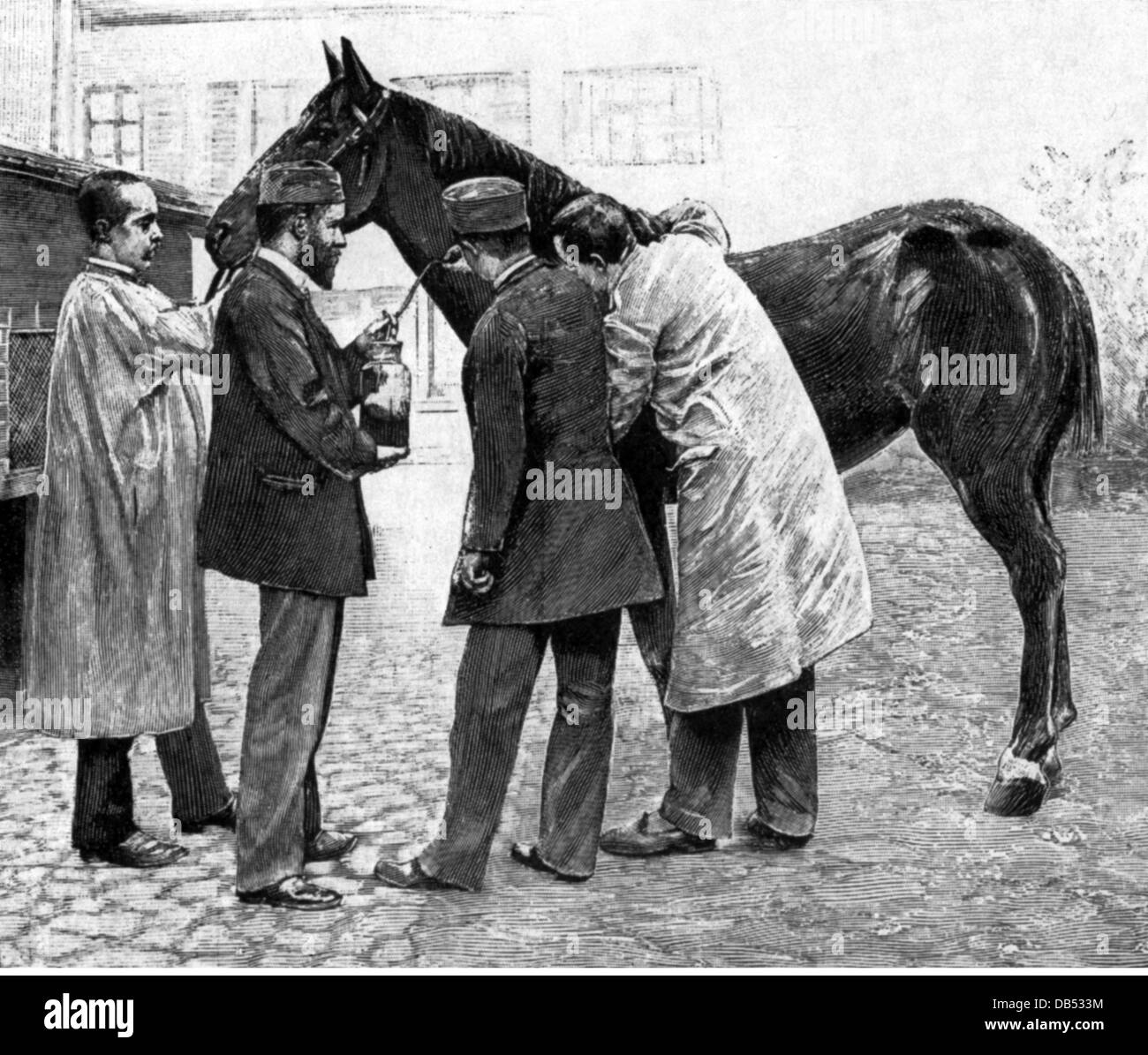 Roux, Pierre Paul Emile, 17.12.1853 - 17.12.1933, französischer Arzt (Bakteriologe), volle Länge, während der Vorbereitung eines Serums gegen die Diphtherie, mit Emil-Behring und Alexandre Yersin während der Forschung zu Diphtheria Antitoxin, Student und Assistent von Pasteur, Entdeckt den Weg einer Therapie der Diphtherie mit Pferdeserum (Serotherapie), um 1890, Stockfoto
