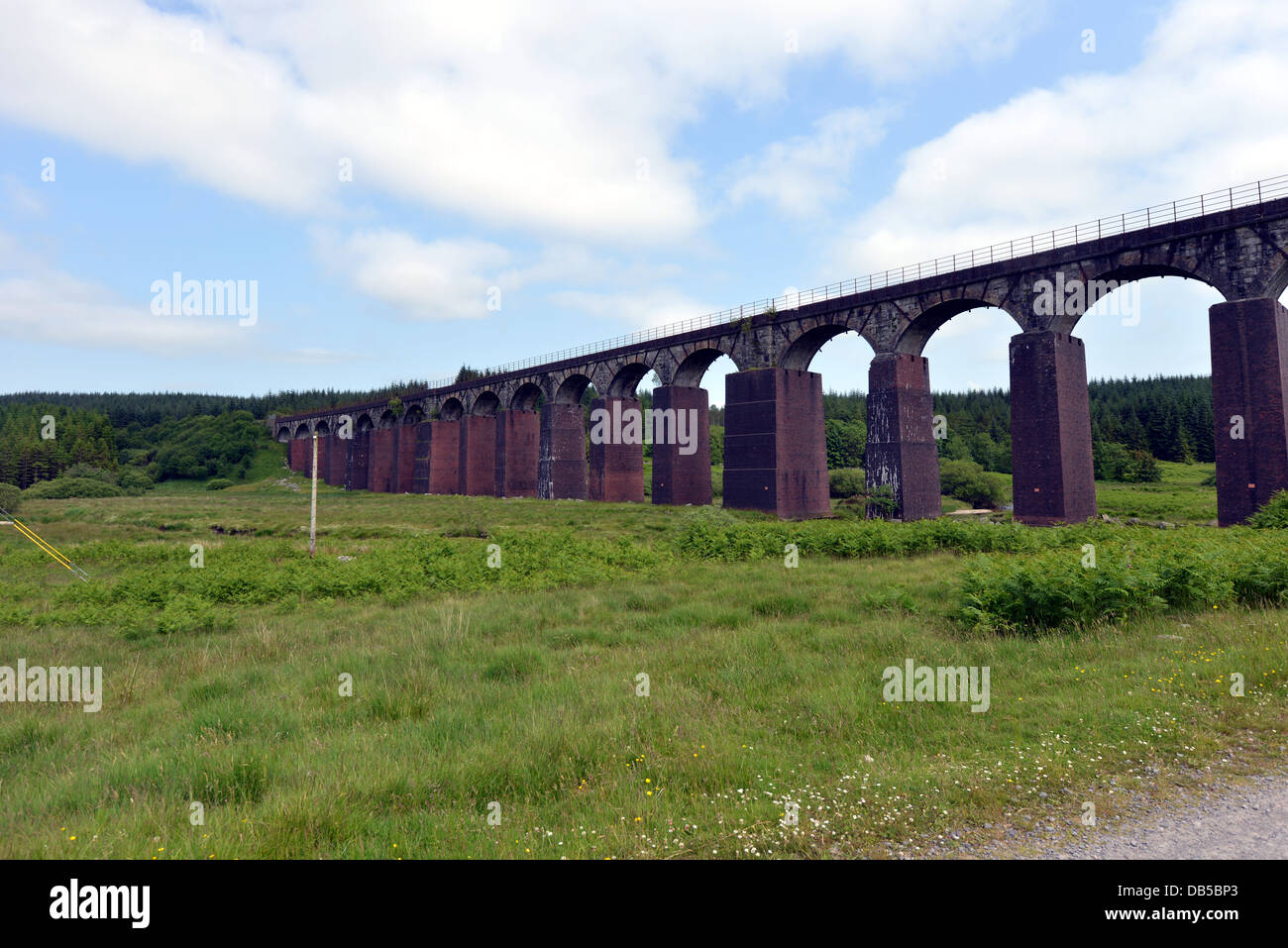 Große Wasser der Flotte Viadukt Dumfries und Galloway Cairnsmore of Fleet Naturschutzgebiet Stockfoto