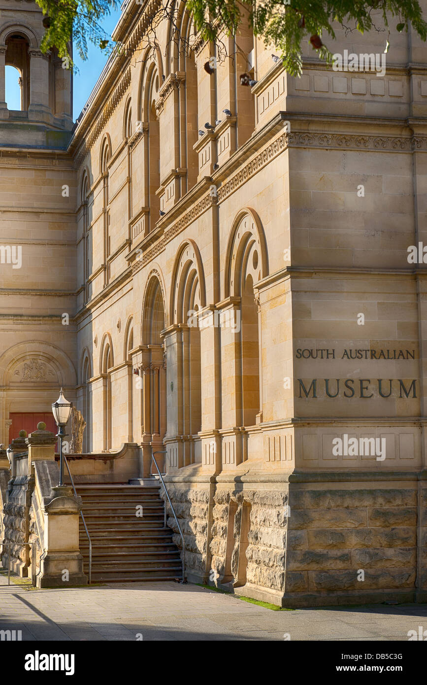 Exterieur des älteren Gebäudes des South Australian Museum auf Nord Terrasse Adelaide. Stockfoto