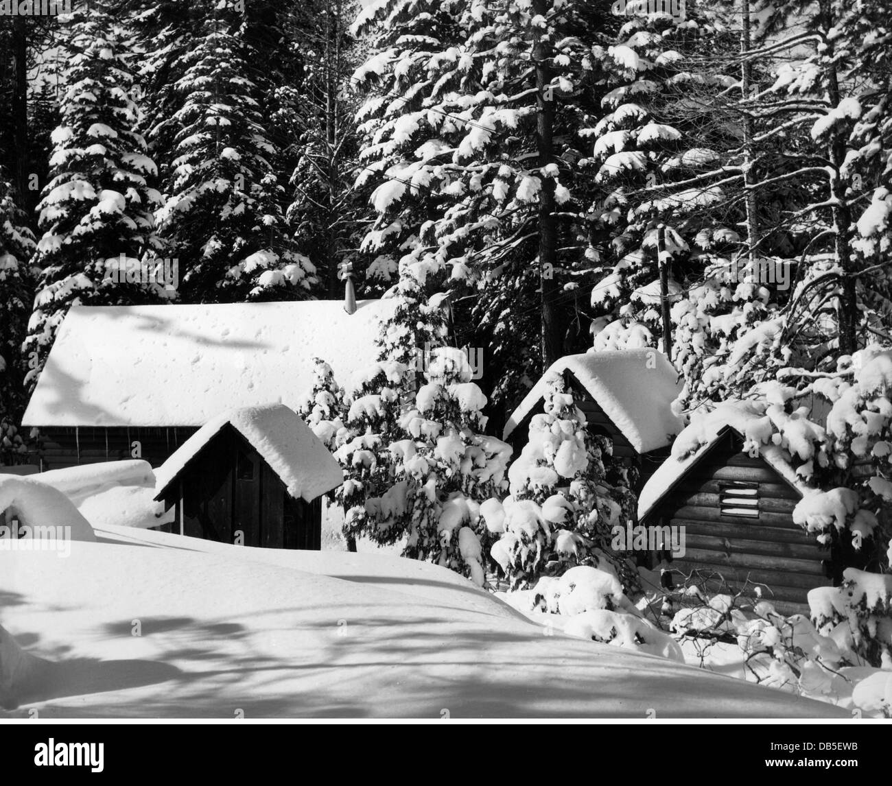 Jahreszeiten, Winter, schneebedeckte Blockhütten und verschneite Bäume, ca. 1960er Jahre, zusätzliche-Rechte-Clearences-nicht verfügbar Stockfoto