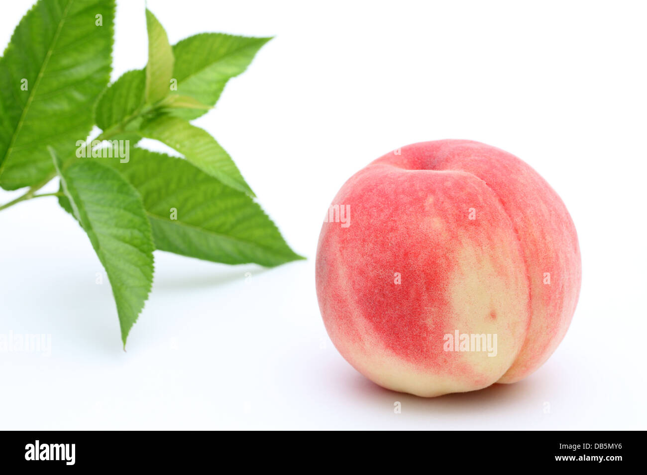 frischen Pfirsich und Blätter auf einem weißen Hintergrund Stockfoto