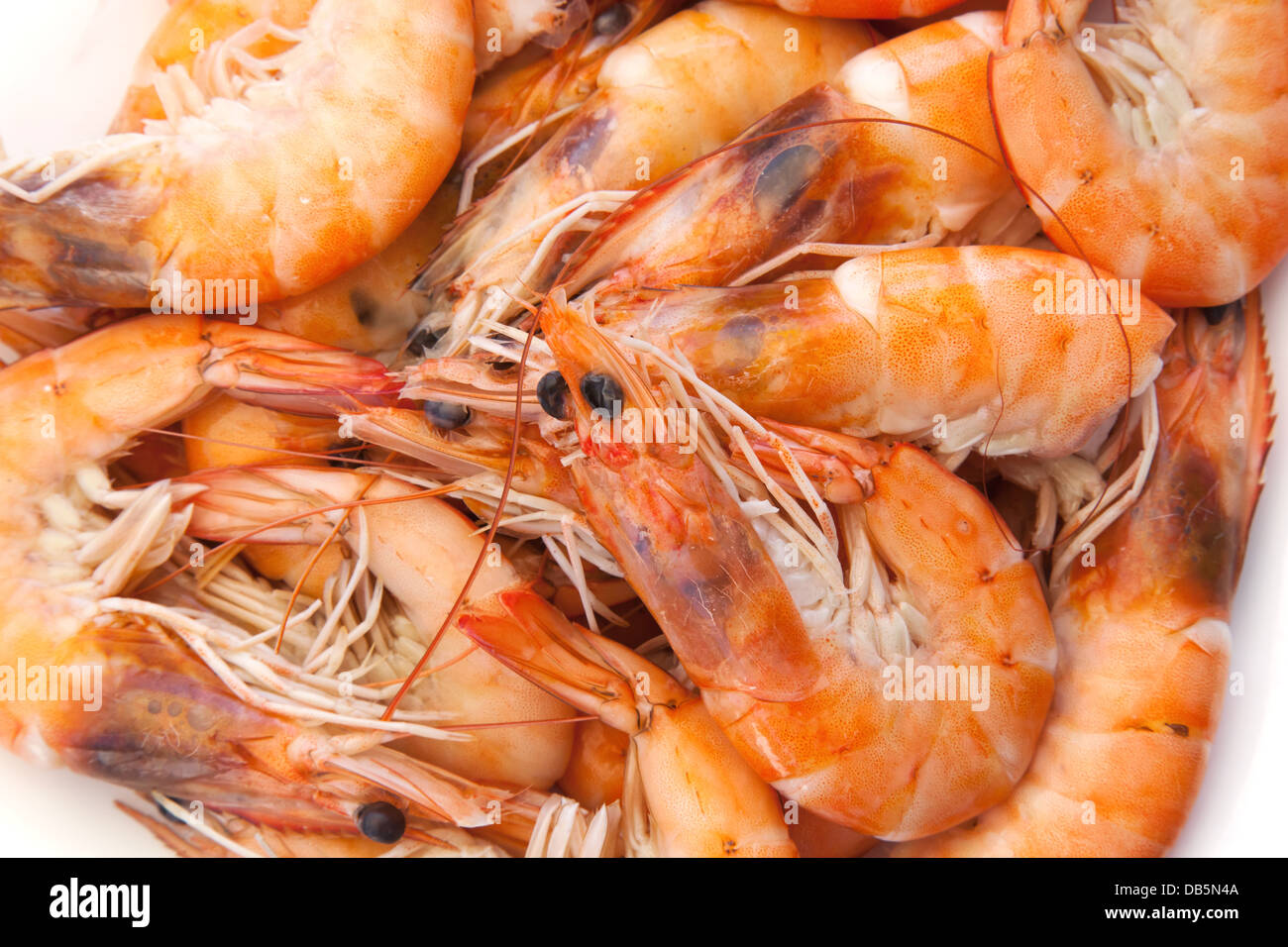 Zubereitet auf dem Teller bemisst. Makro-Foto Stockfoto