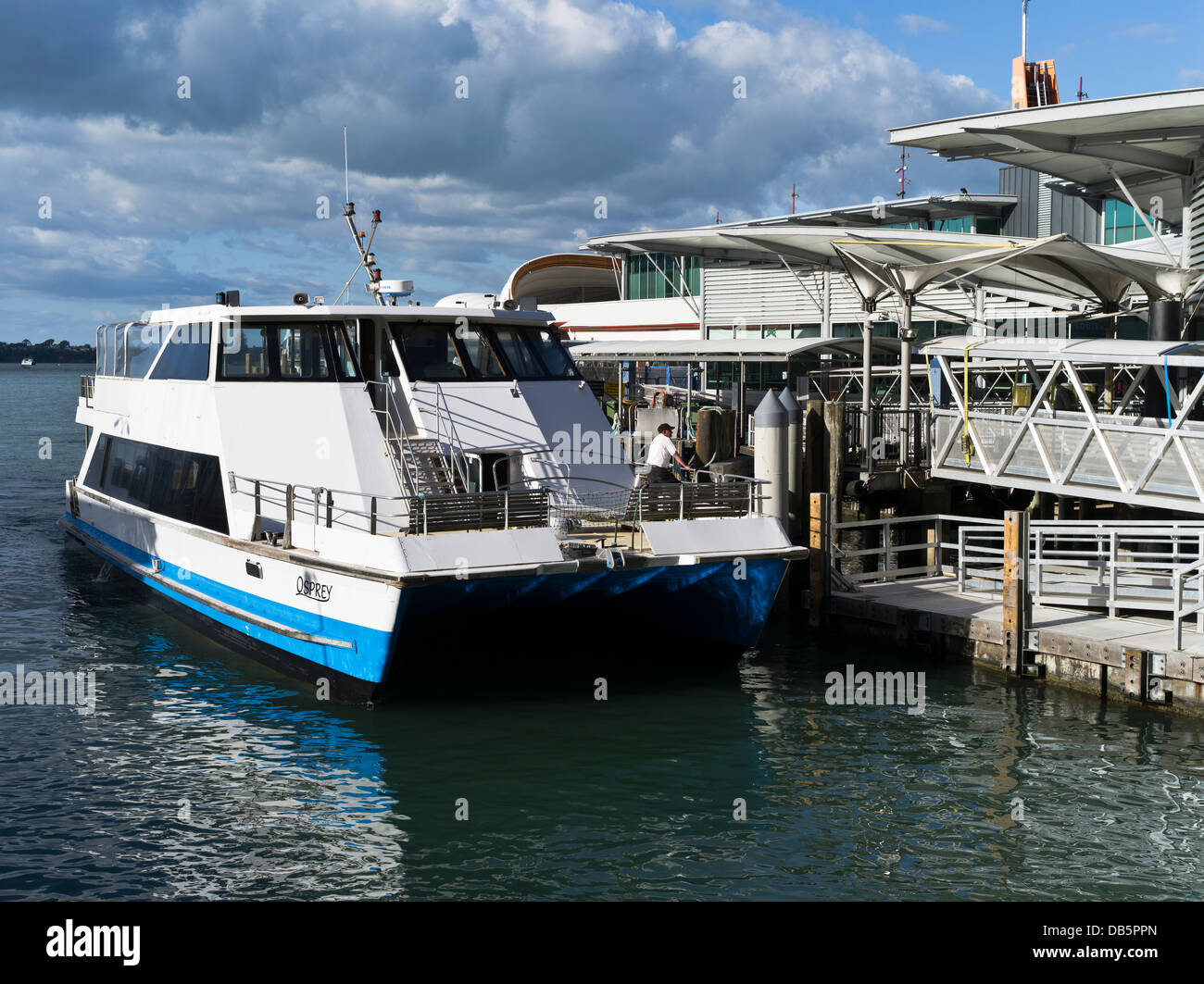 dh Auckland Hafen AUCKLAND NEW ZEALAND Katamaran Fischadler nur Kreuzfahrt Charter Auckland Hafen Fähre Stockfoto