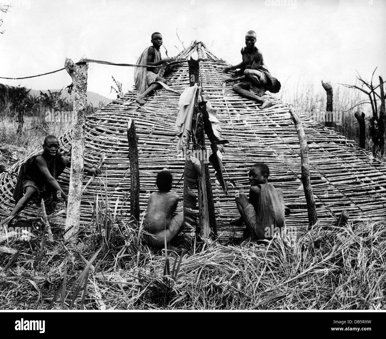 Geographie / Reisen, Uganda, Menschen, junge afrikanische Dorfbewohner bauen eine Hütte, um 1950, Zusatz-Rechte-Clearences-nicht vorhanden Stockfoto