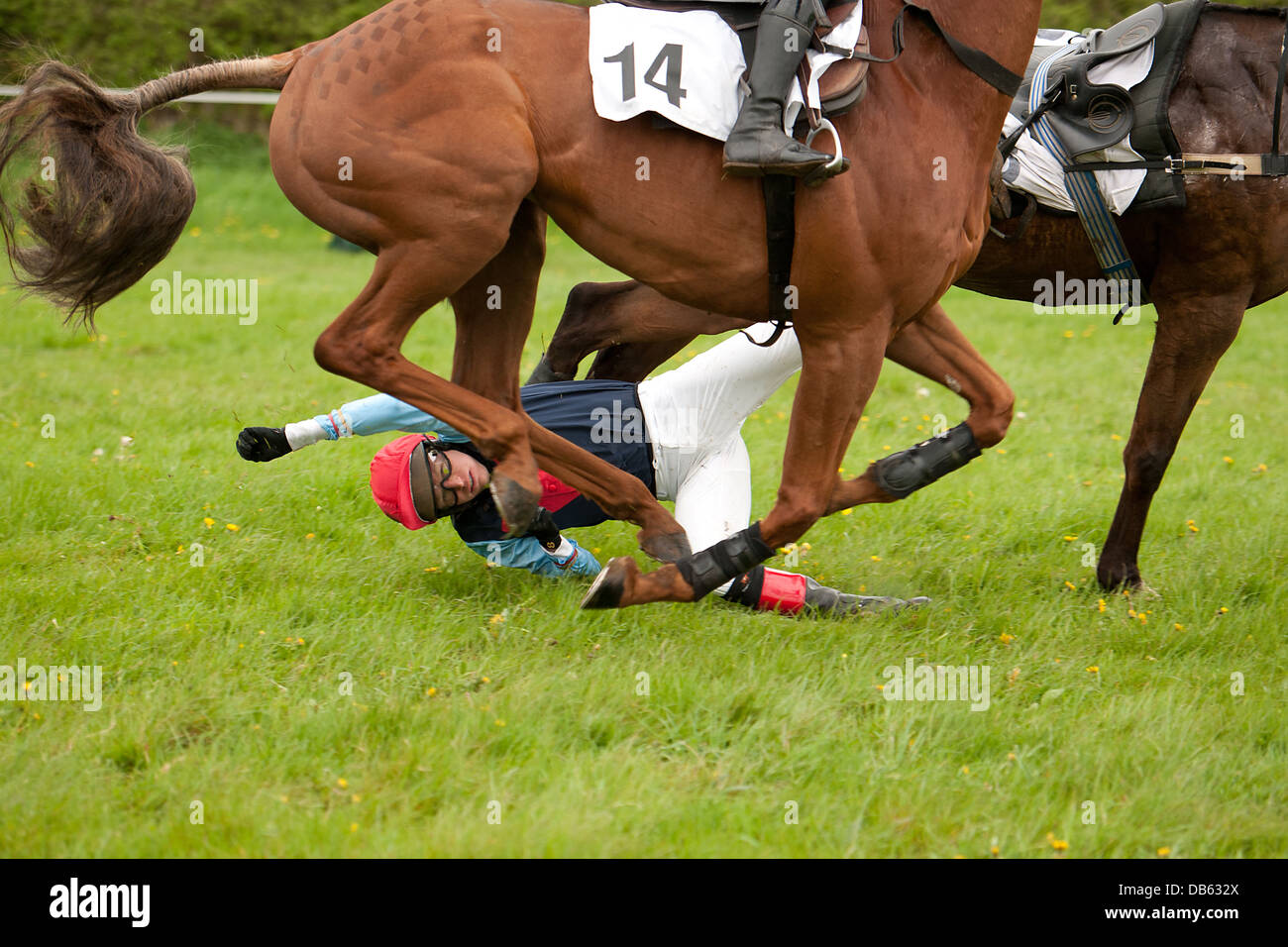 Reiter vom Pferd gezogen Stockfoto