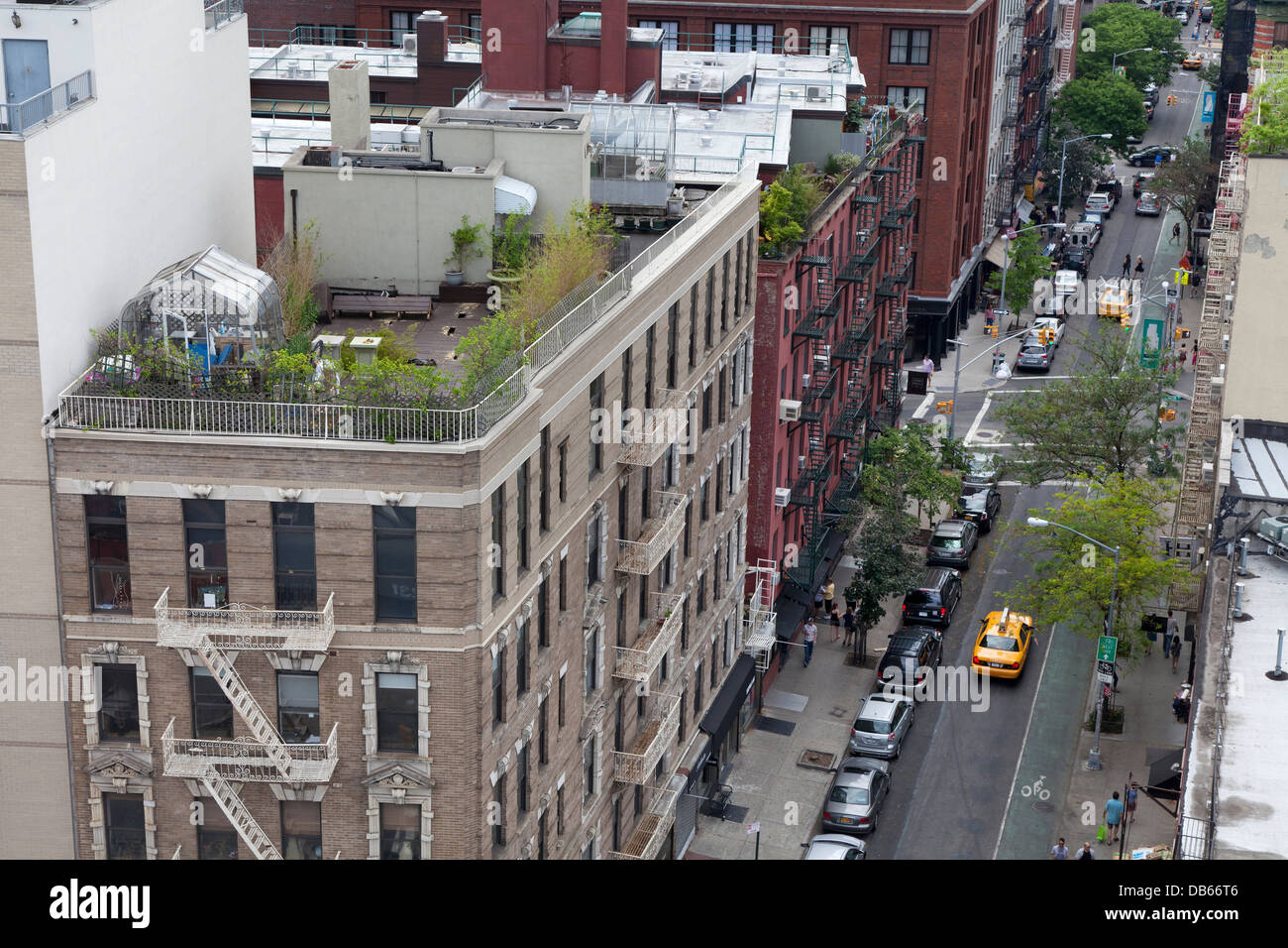 Garten und Gewächshaus auf dem Dach eines Mehrfamilienhauses in New York City Stockfoto