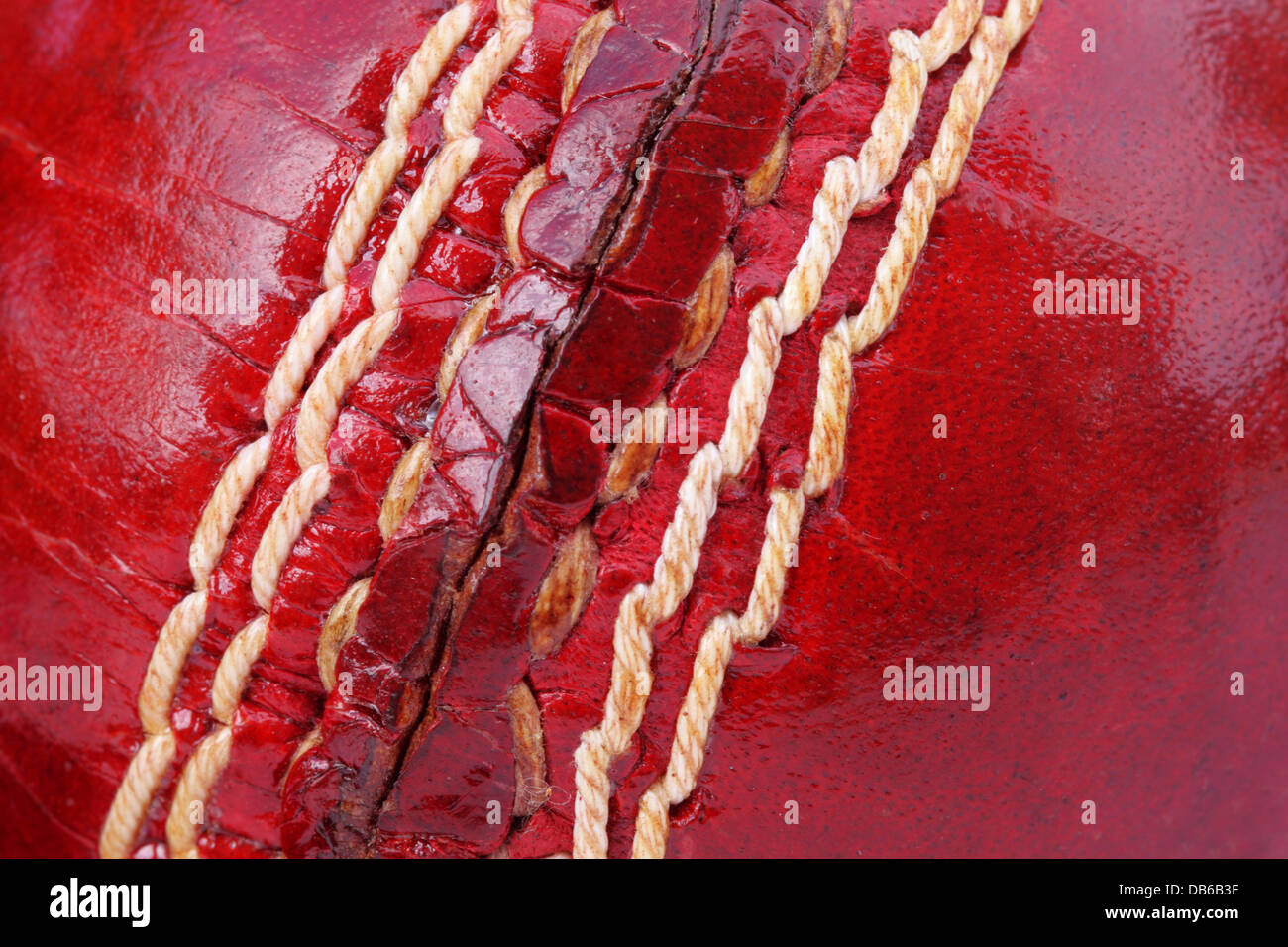 Makro einer Kricket Kugel Naht Stockfoto