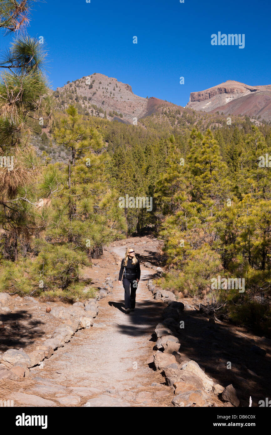 Wanderung zur Paisaje Lunar in der Nähe von Vilaflor, Teneriffa, Kanarische Inseln, Spanien Stockfoto
