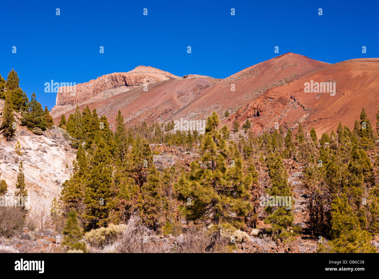 Wanderung zur Paisaje Lunar in der Nähe von Vilaflor, Teneriffa, Kanarische Inseln, Spanien Stockfoto
