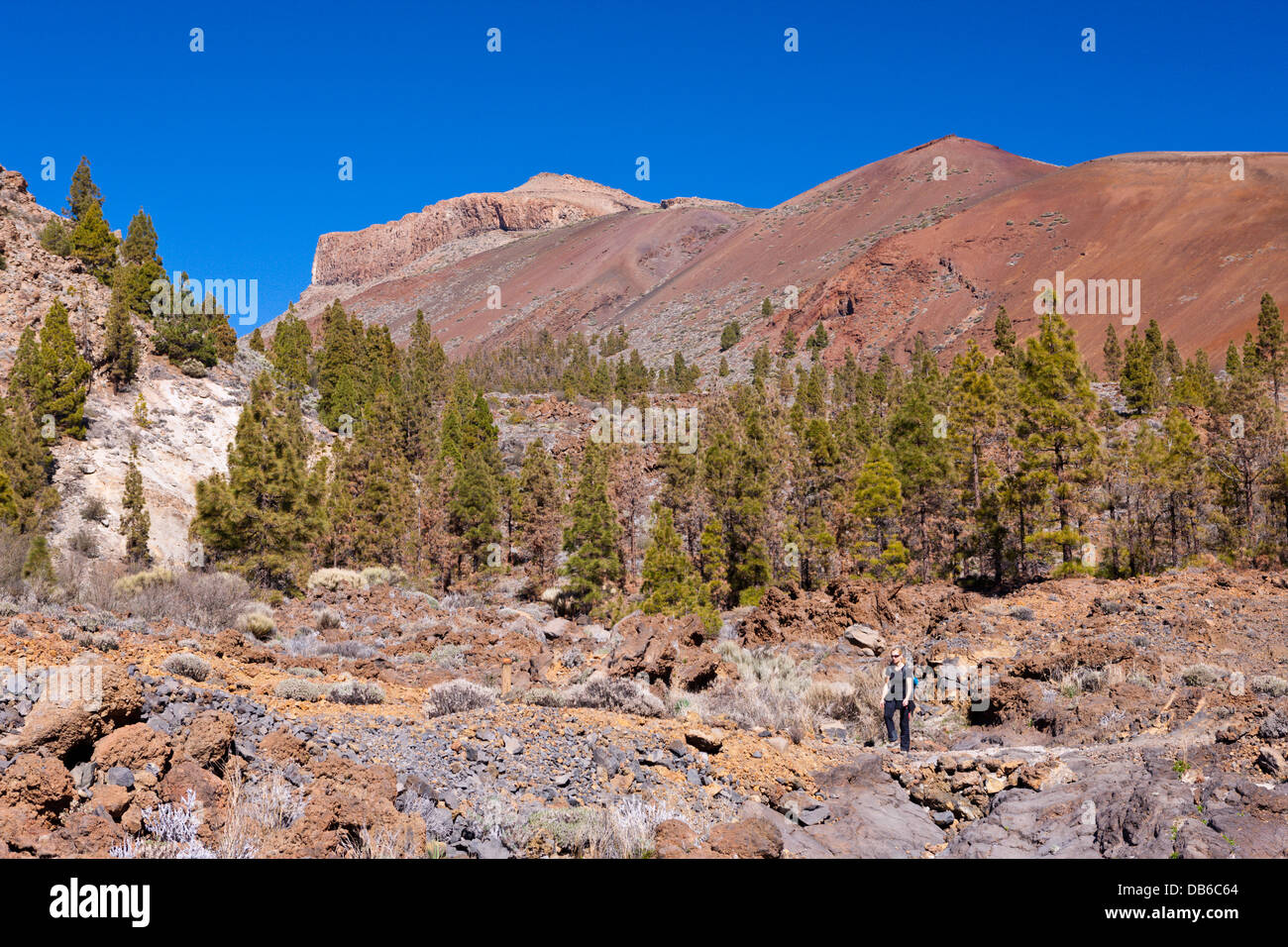 Wanderung zur Paisaje Lunar in der Nähe von Vilaflor, Teneriffa, Kanarische Inseln, Spanien Stockfoto