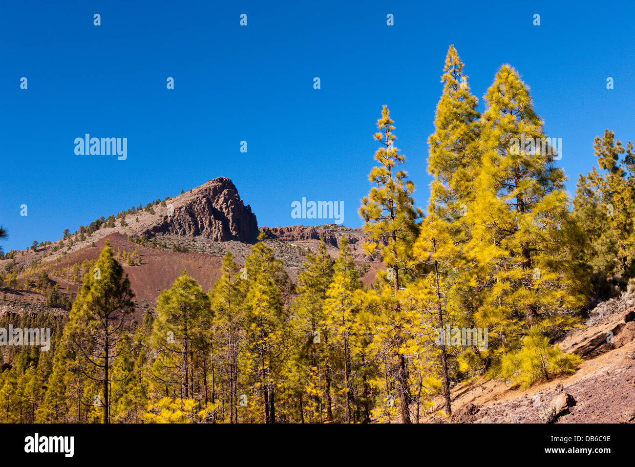 Wanderung zur Paisaje Lunar in der Nähe von Vilaflor, Teneriffa, Kanarische Inseln, Spanien Stockfoto