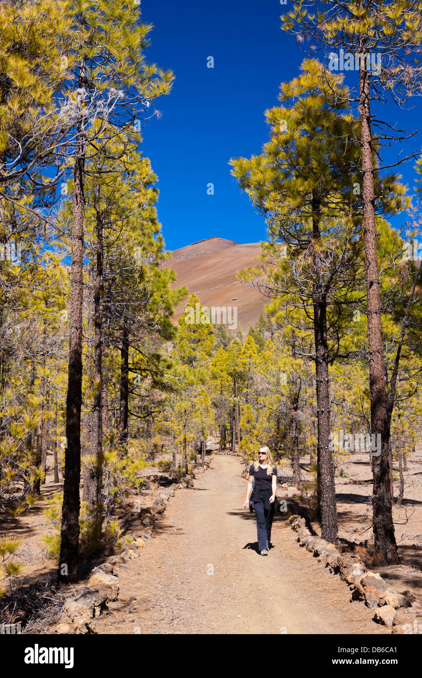 Wanderung zur Paisaje Lunar in der Nähe von Vilaflor, Teneriffa, Kanarische Inseln, Spanien Stockfoto