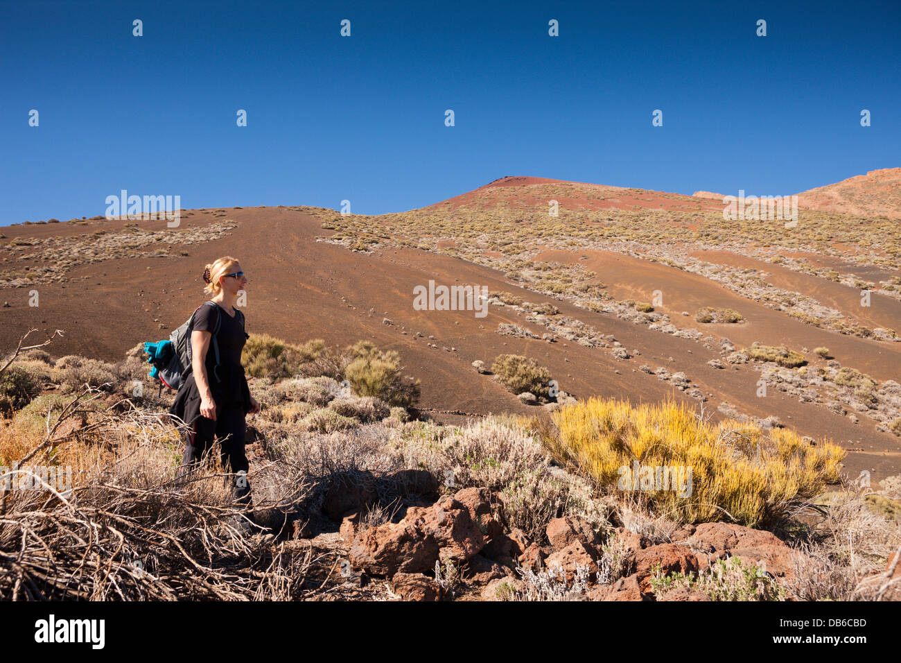 Schwarze Moonlandscape im Teide-Nationalpark, Teneriffa, Kanarische Inseln, Spanien Stockfoto