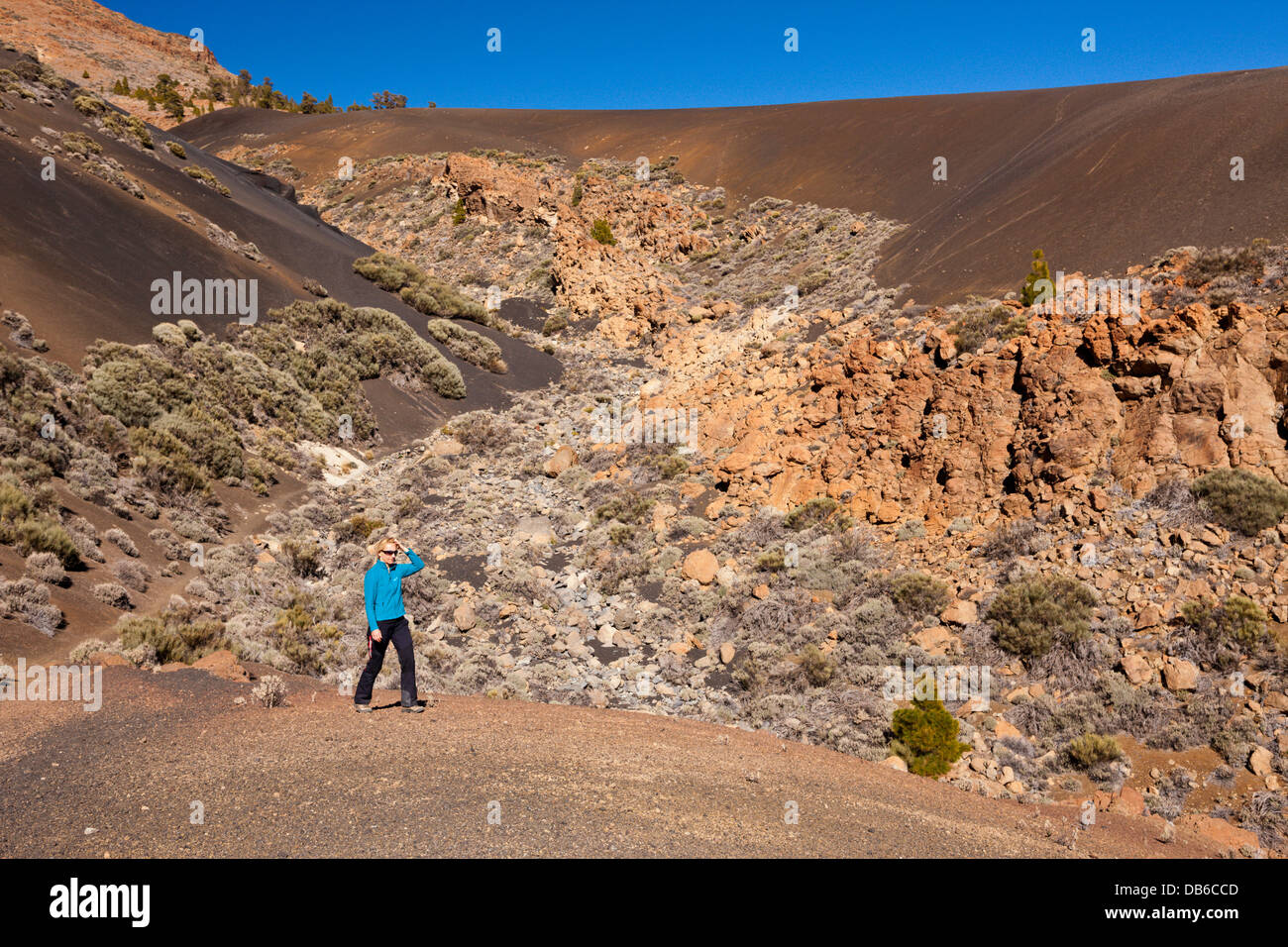 Schwarze Moonlandscape im Teide-Nationalpark, Teneriffa, Kanarische Inseln, Spanien Stockfoto