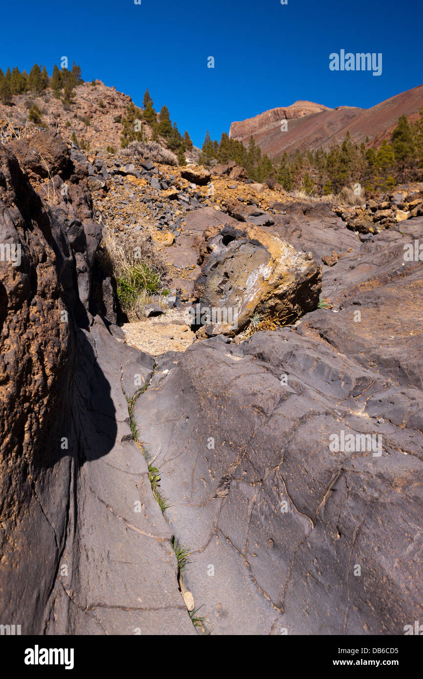 Wanderung zur Paisaje Lunar in der Nähe von Vilaflor, Teneriffa, Kanarische Inseln, Spanien Stockfoto