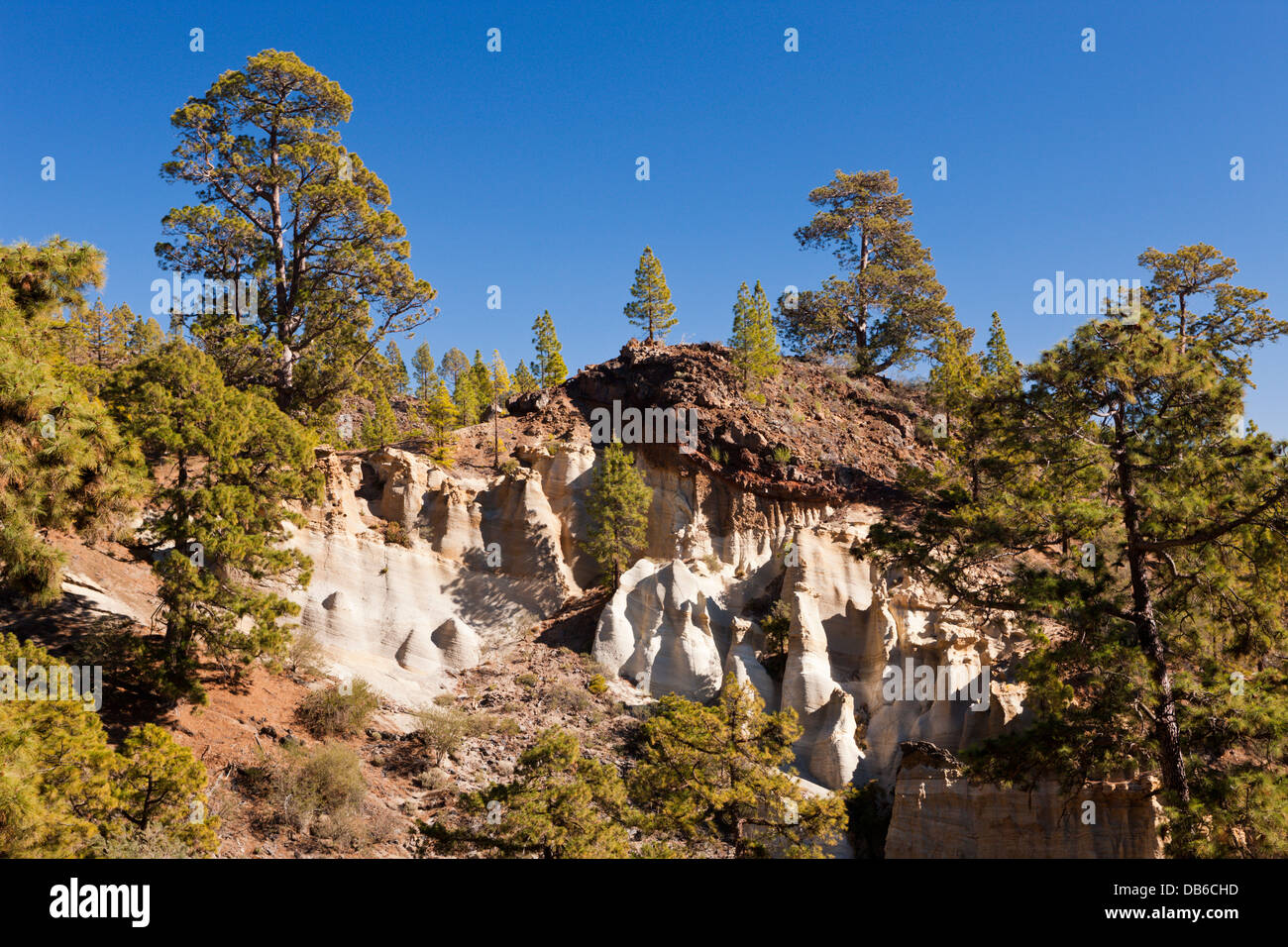 Mondlandschaft Paisaje Lunar im Teide-Nationalpark, Teneriffa, Kanarische Inseln, Spanien Stockfoto